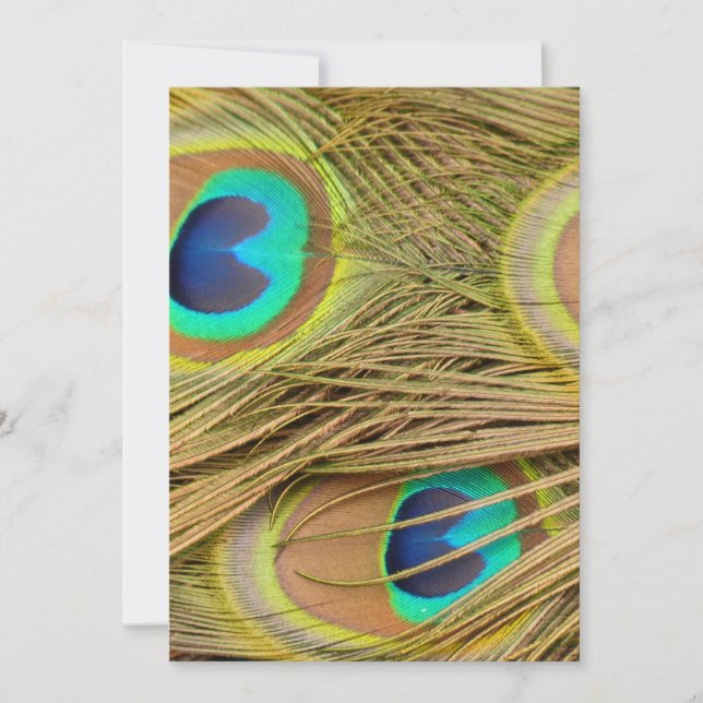 Carte Plumes de paon (Devant)