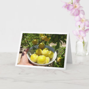 Carte Plums jaunes au Bowl