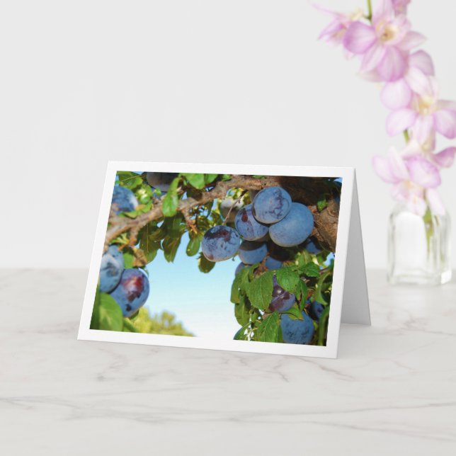 Carte Plums pourpres, Blue Sky Portrait (Orchidée)