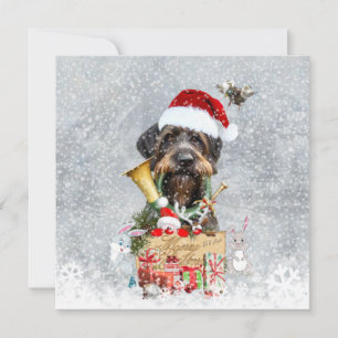 Carte Pointeur à poils durs, Noël de chien