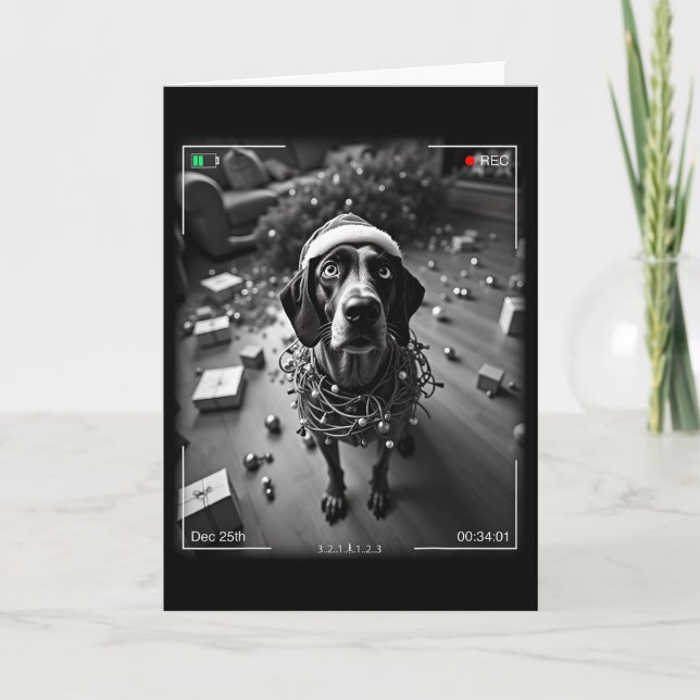 Carte Pointeur Allemand De Noël Pris Sur Cam (Devant)