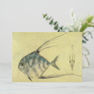 Carte Poisson Alectis indicus, Carangue à trois épines v
