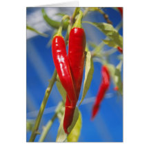 Carte Poivrons rouges