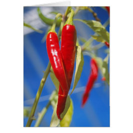 Carte Poivrons rouges