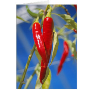 Carte Poivrons rouges