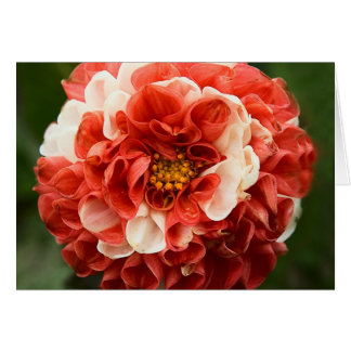 Carte Pom-Pom Dahlia
