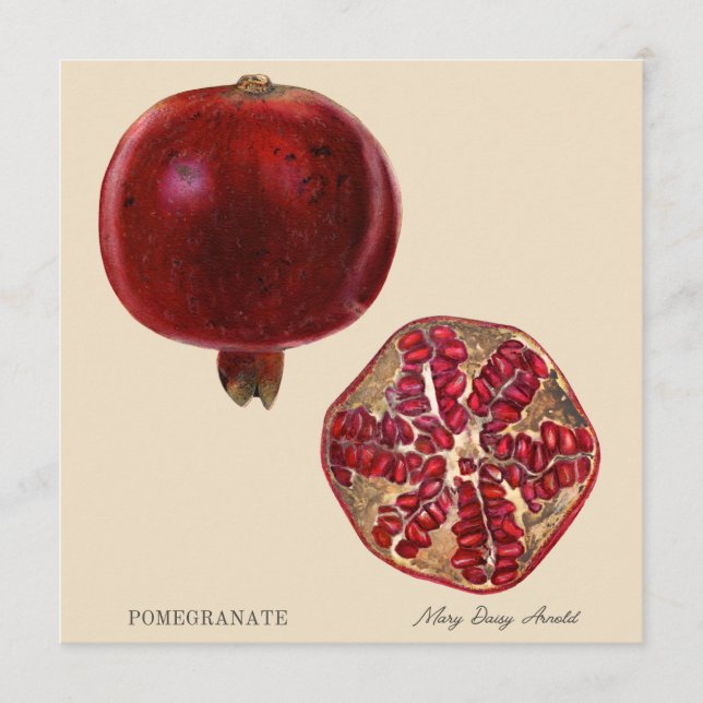 Carte Pomegranate by Mary Daisy Arnold (Devant)