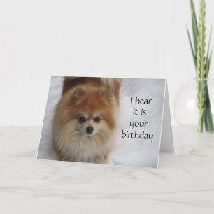 CARTE POMERANIAN DIT NE PAS **40** TOUS LES ANS CÉLÉBRER
