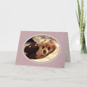 Carte Pomeranian Get Well