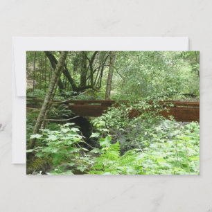 Carte Pont de Muir Woods I