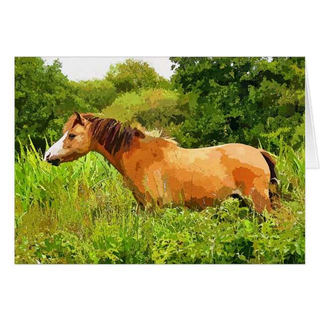 Carte PONY WELSH MOUNTAIN (Devant horizontal)