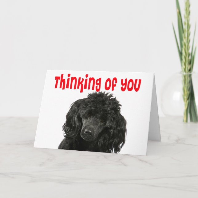 Carte Poodle Penser de toi Hello Miss You Puppy Chien (Devant)