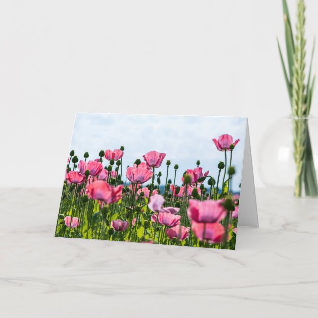 Carte Poppies roses (Devant)