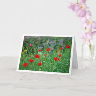 Carte Poppies rouges et fleurs sauvages