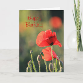 Carte Poppy 1