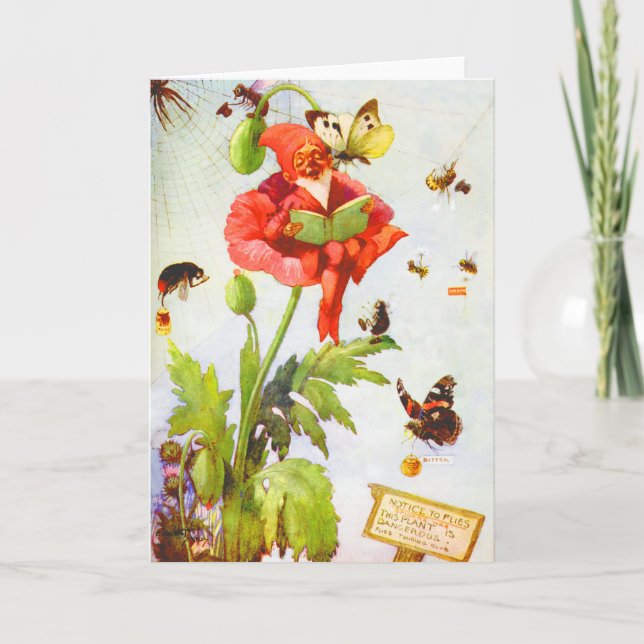 Carte Poppy Gnome (Devant)