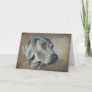 Carte Portrait argenté bleu Weimaraner