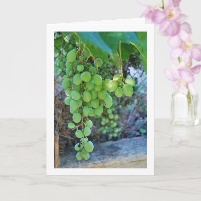 Carte Portrait blanc de vigne (Orchidée)