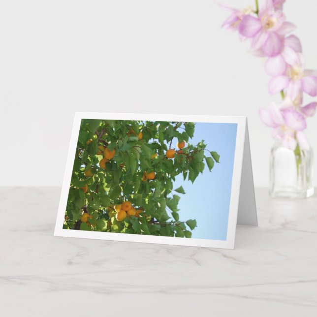 Carte Portrait d'Abricotier sous Ciel Bleu (Orchidée)