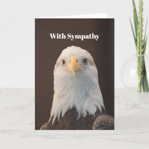 Carte Portrait d'aigle à tête blanche - Sympathie photo