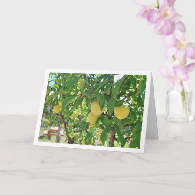 Carte Portrait d'arbre à prune jaune (Orchidée)