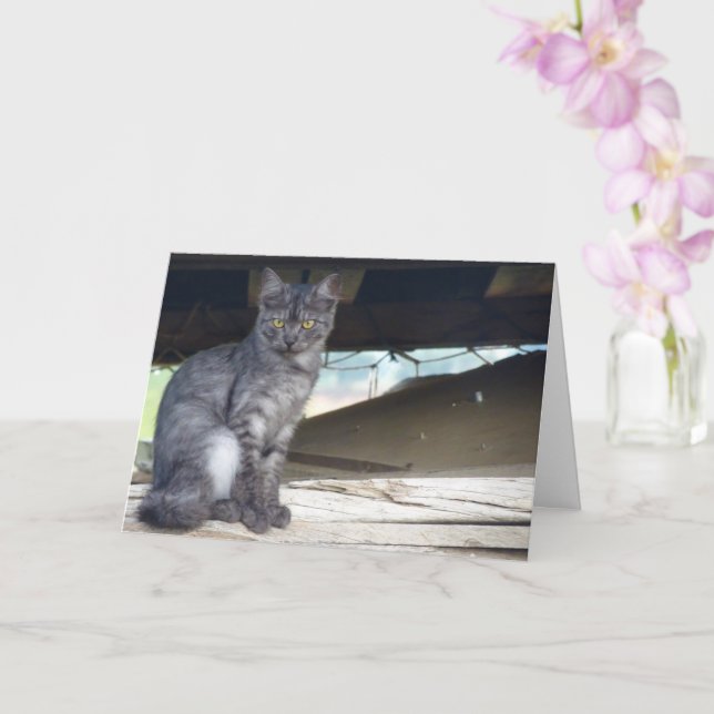 Carte Portrait de chat communautaire (Orchidée)