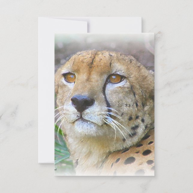 Carte Portrait de Cheetah (Devant)