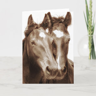 Carte Portrait de cheval III