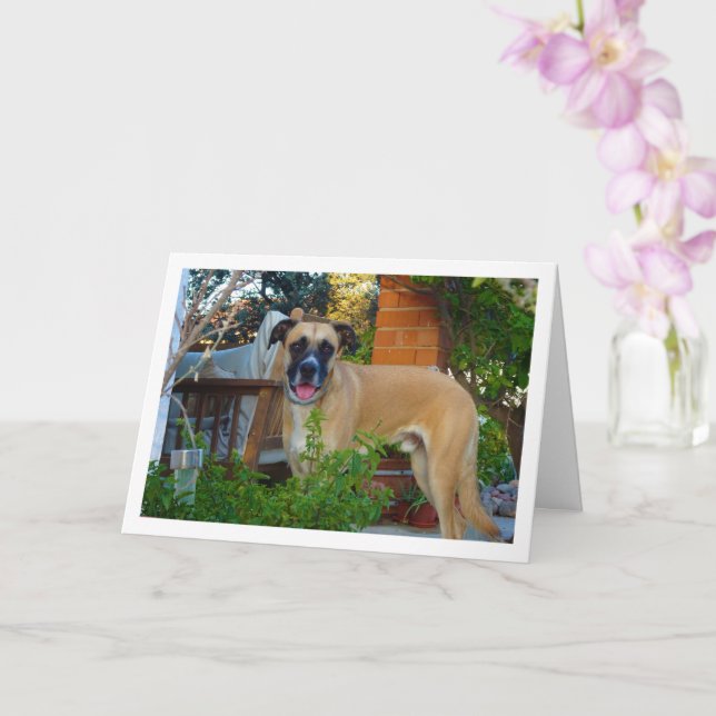 Carte Portrait de chien dans le jardin (Orchidée)
