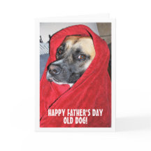 Portrait de chien dans une couverture rouge