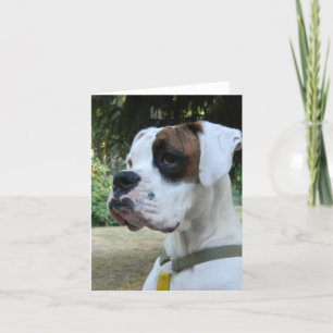 Carte Portrait de chien de boîte blanche