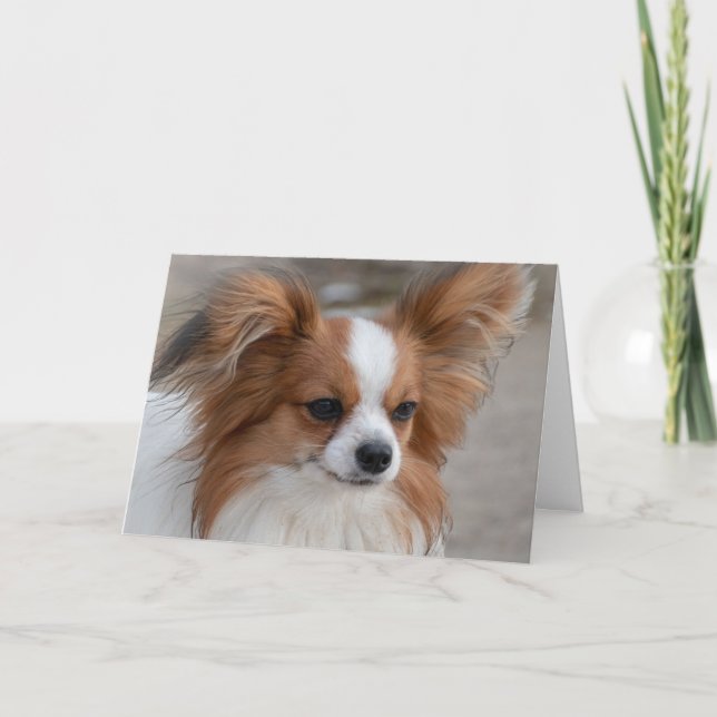 Carte Portrait de chien de Papillon (Devant)