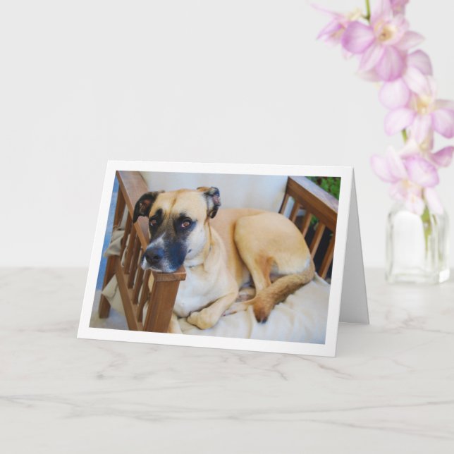 Carte Portrait de chien en chaise (Orchidée)