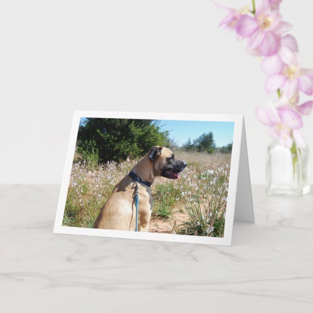 Carte Portrait de chien et de fleurs sauvages (Orchidée)