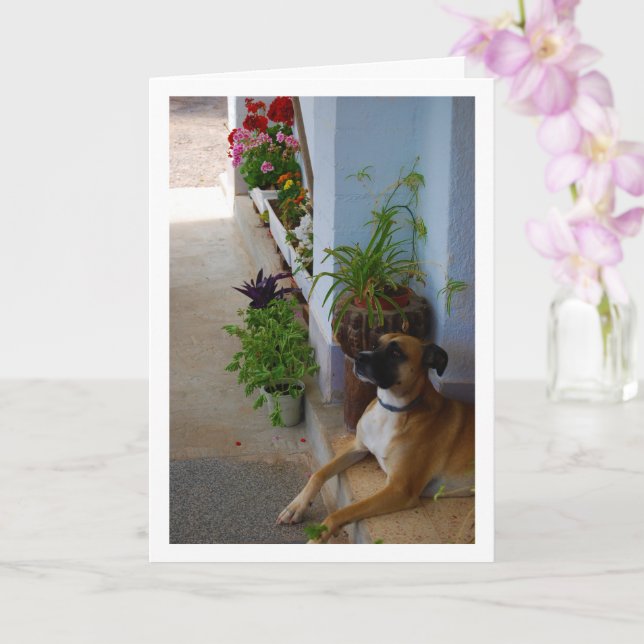 Carte Portrait de chien floral (Orchidée)
