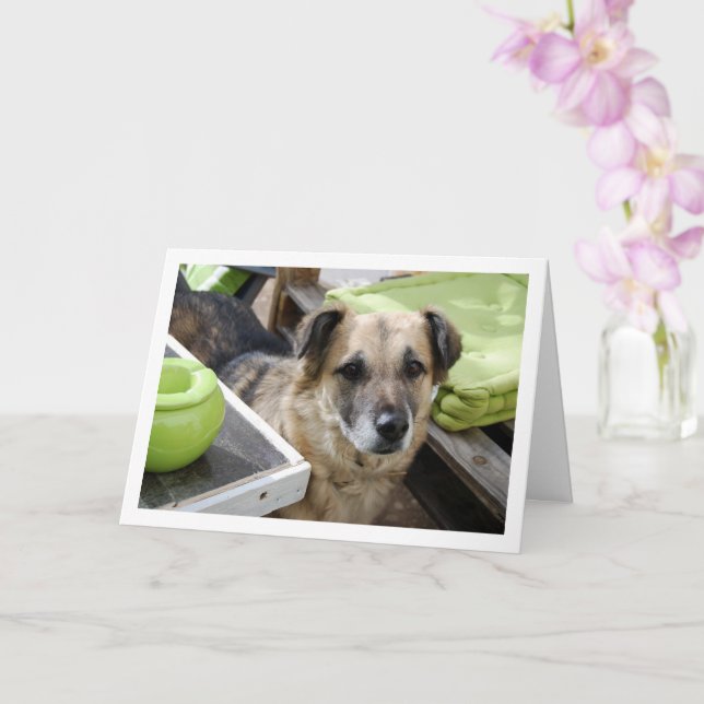 Carte Portrait de chien mignon (Orchidée)