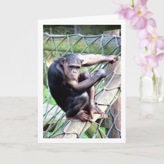 Carte Portrait de chimpanzé (Orchidée)