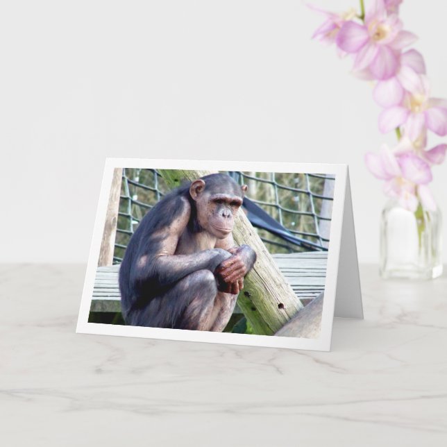 Carte Portrait de chimpanzé (Orchidée)