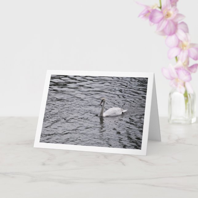 Carte Portrait de cygne sur lac (Orchidée)