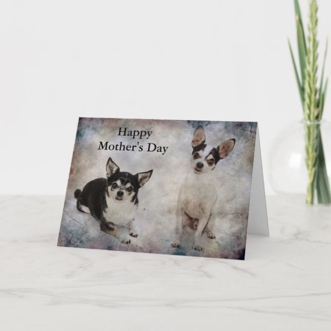 Carte Portrait de deux chihuahua (Devant)