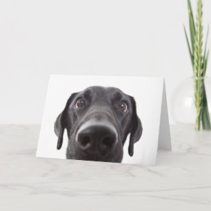 Carte Portrait de fermeture Black Labrador