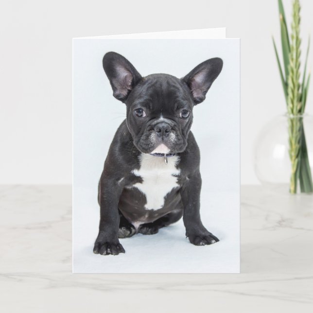 Carte Portrait de French Bulldog (Devant)