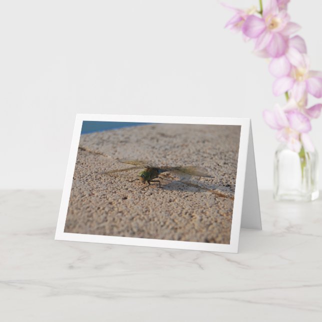 Carte Portrait de libellule (Orchidée)