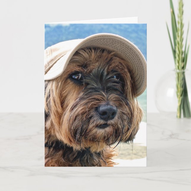 Carte Portrait de loisirs Tibétain Terrier (Devant)