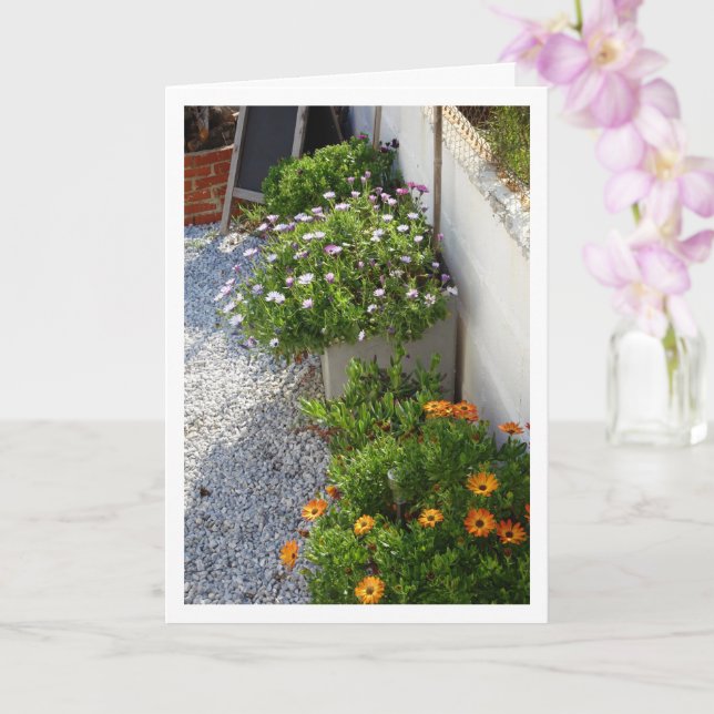 Carte Portrait de marais africains (Orchidée)