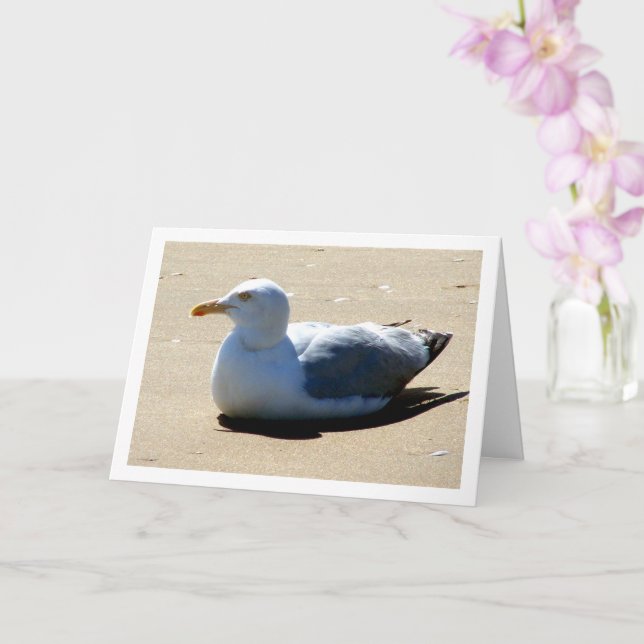 Carte Portrait de Mouette sur la Plage (Orchidée)