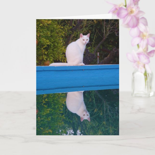 Carte Portrait de réflexion de chat blanc (Orchidée)