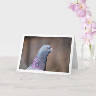 Carte Portrait de tête de pigeon