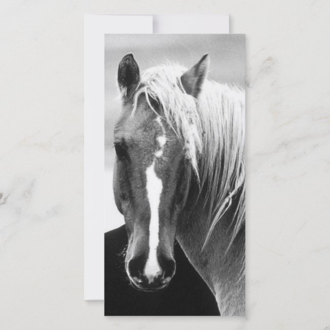 Carte Portrait du cheval BW (Devant)