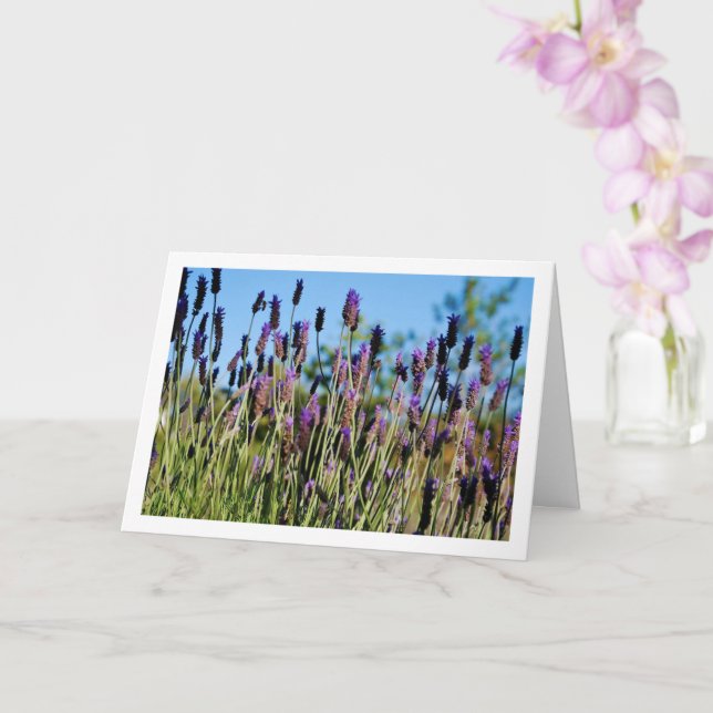 Carte Portrait du ciel bleu sauvage de Lavender (Orchidée)